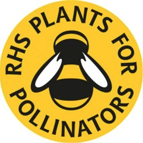 AP2 Eco Wildflower & Grass Seed Mix 80:20