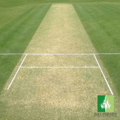 
                  
                    Wicket Renovation Grass Seed with Headstart Gold
                  
                