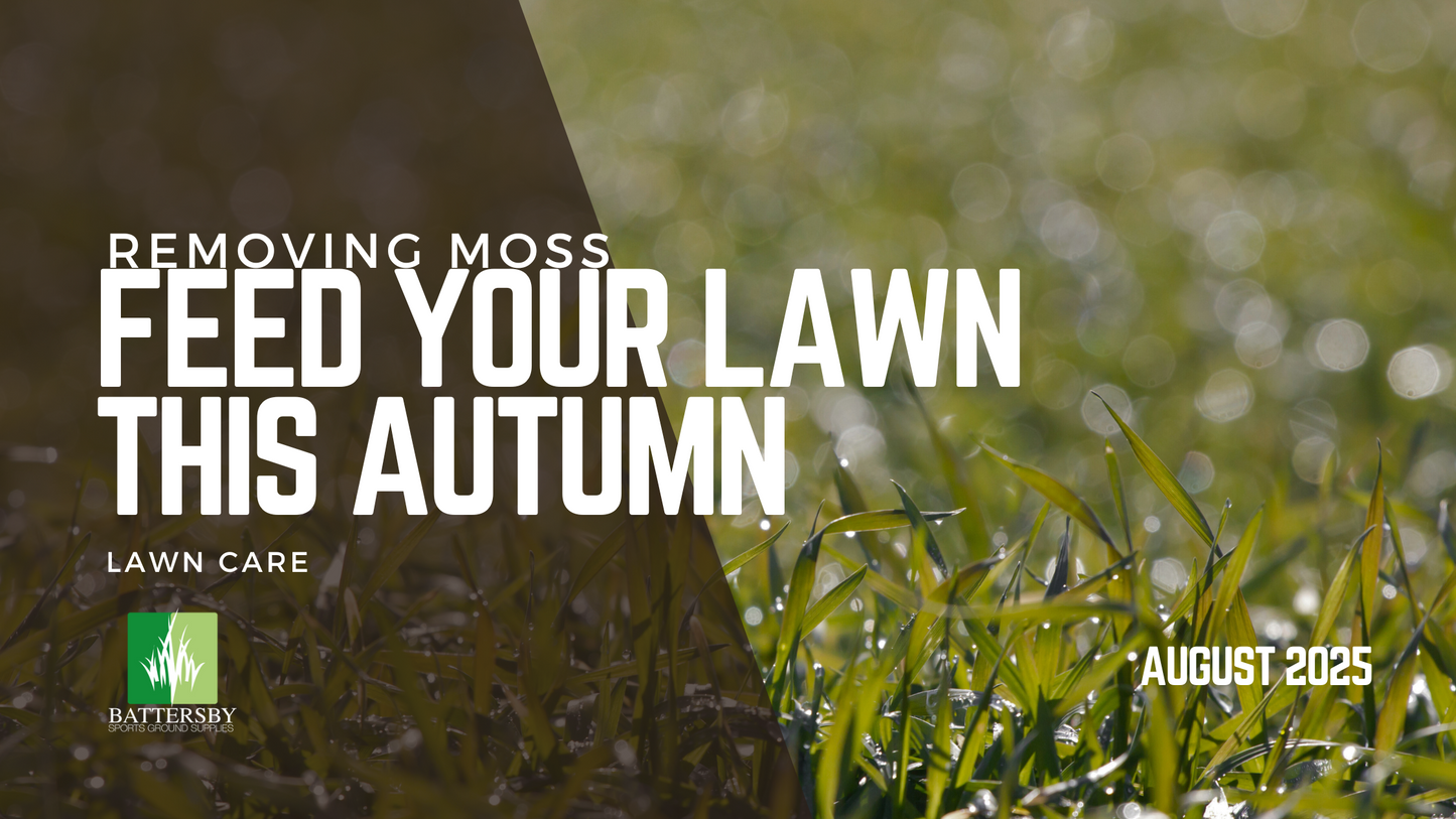 remove moss and feed lawn autumn