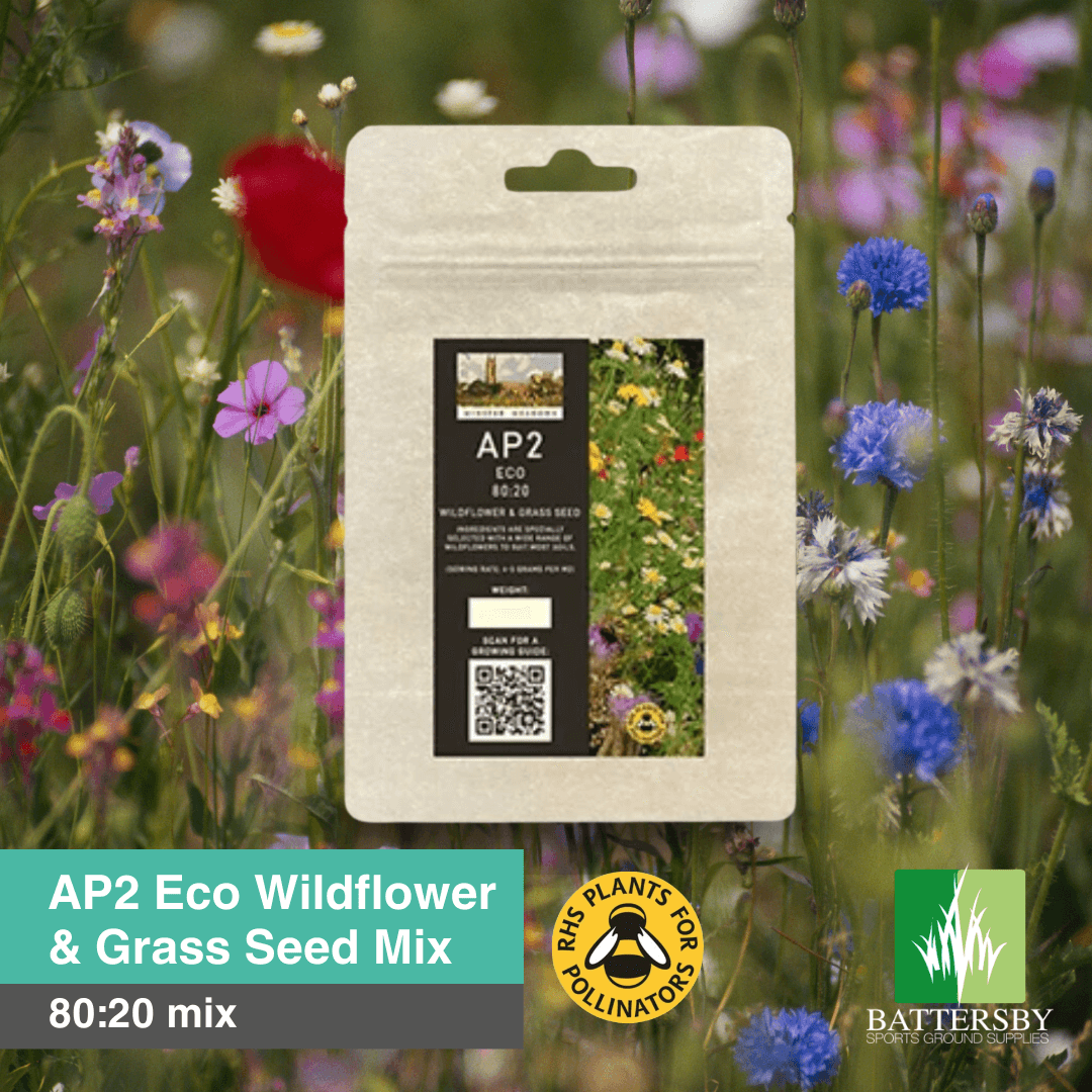 AP2 Eco Wildflower & Grass Seed Mix 80:20