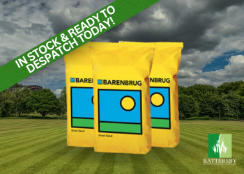 barenbrug grass seed deal battersby sports