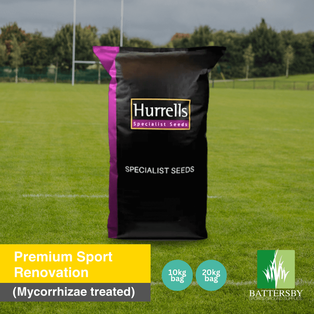 Premium Sports Ground Renovation Grass Seed