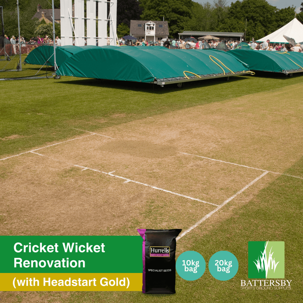 Cricket Wicket Renovation  Grass Seed with Headstart Gold
