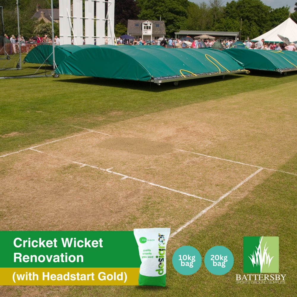Designer Cricket Wicket Renovation Grass Seed with Headstart Gold