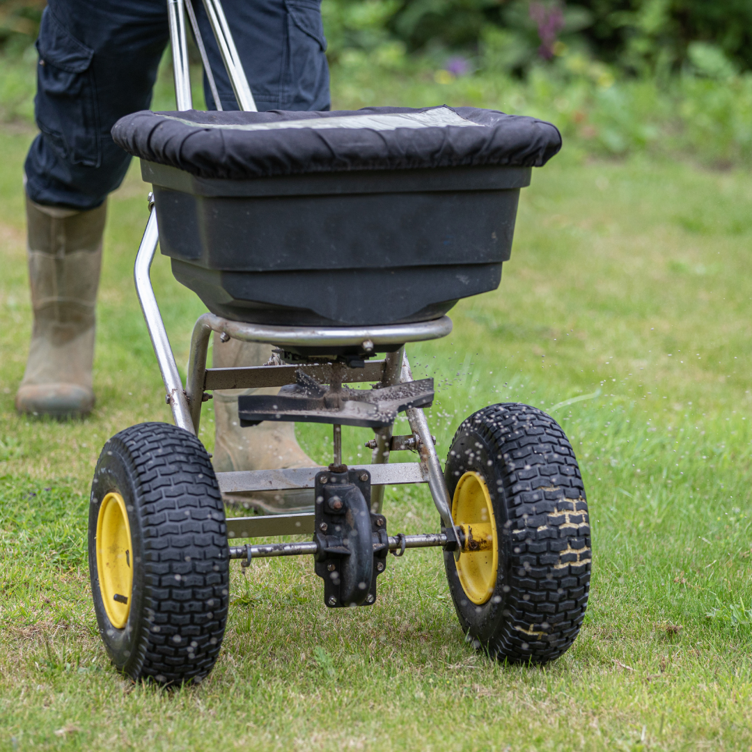 grass-lawn-ground-fertilisers