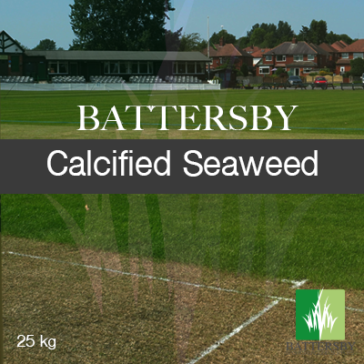 All Season Fertiliser: Calcified Seaweed