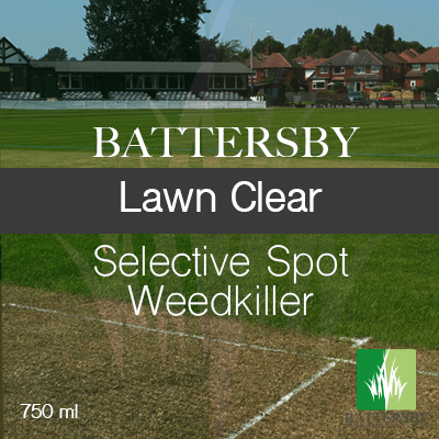 Lawn Clear Selective Spot Weedkiller Spray
