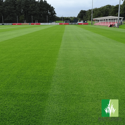 
                  
                    Pro Sports Ground Renovation Grass Seed
                  
                