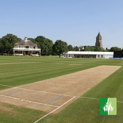 
                  
                    Premium Cricket Square Renovation Grass Seed
                  
                