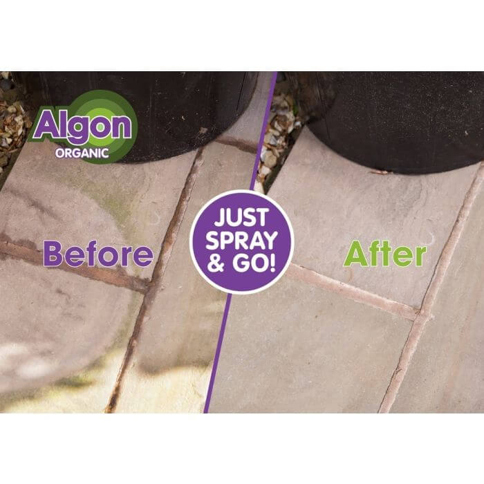 
                  
                    ALGON-Path-patio-cleaner-20-litres-clean-2
                  
                