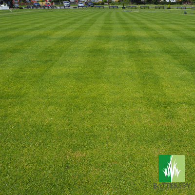 
                  
                    Premium Cricket Square Renovation Grass Seed
                  
                